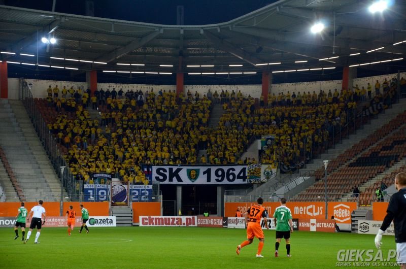 gks_zaglebie_2014_1.jpg (93 KB)